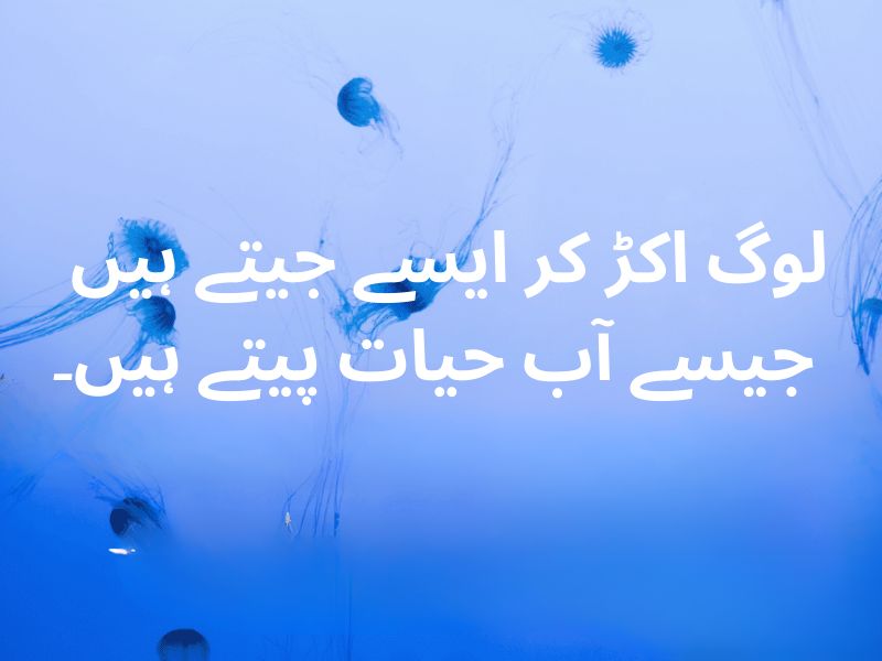 55-top-urdu-quotes-about-life-islamic-attitude-love-for-dp-text